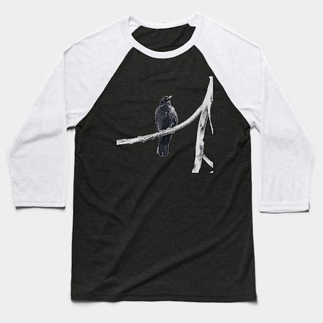 dark drawing of crow on a branch Baseball T-Shirt by Taya Johnston